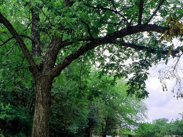131 SW 25TH ST LOT 14, San Antonio, TX 78207
