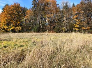 19445 Michigan Hill Rd SW, Rochester, WA 98579