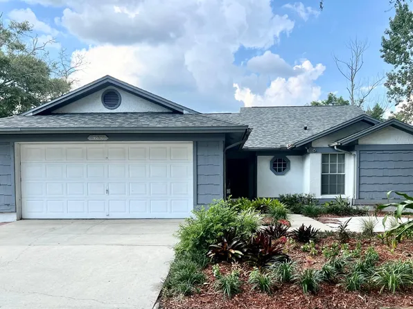 24831 Silversmith Dr, Lutz, FL 33559