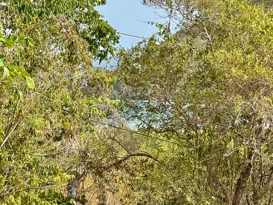 1st image of 10 Chocolate Hole Rd