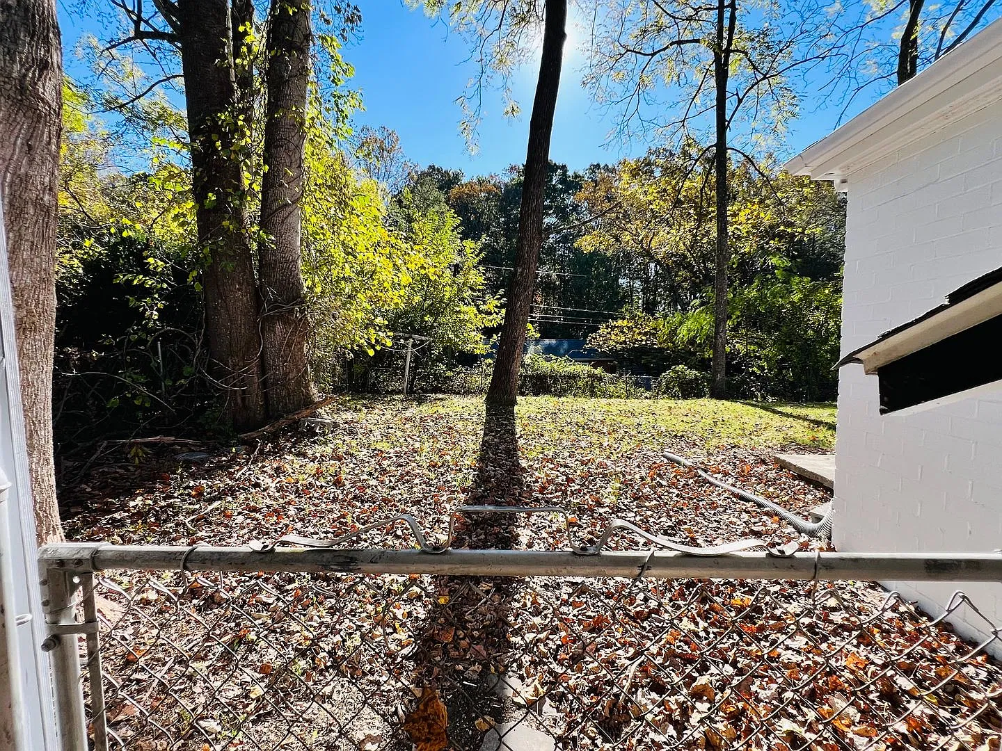 Quiet, cute and convenient — Photo 4