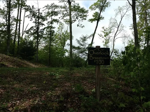 L-100 Brasstown Rd, Brasstown, NC 28902