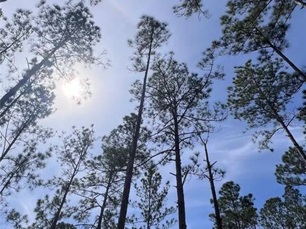 4110 Melanie St, Hastings, FL 32145