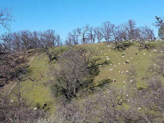 3rd image of Penneleme Rd