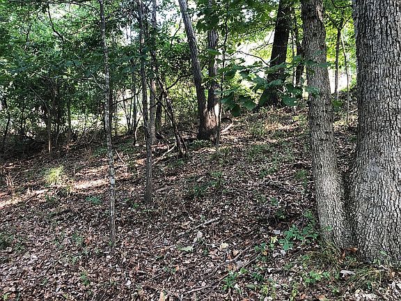 5th image of Leatherwood Dr