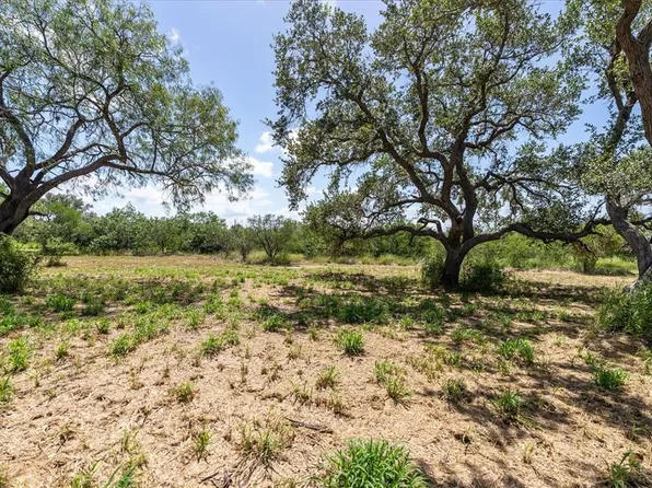 0 Off Hwy #181-S, Skidmore, TX 78389