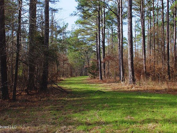 4th image of 2046 Mitchell Rd