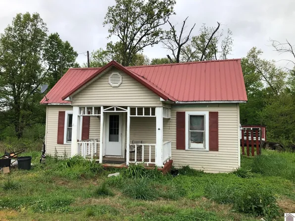 7875 State Route 45 S, Mayfield, KY 42066