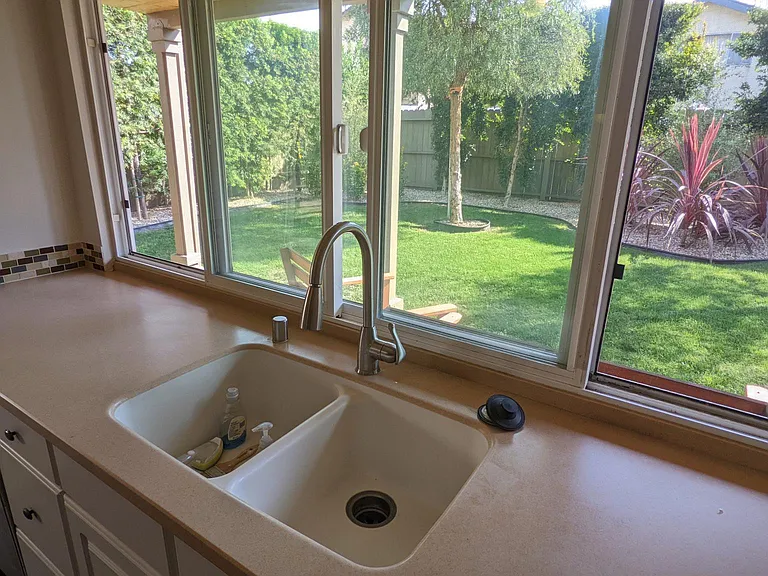 View of the backyard from the kitchen sink.