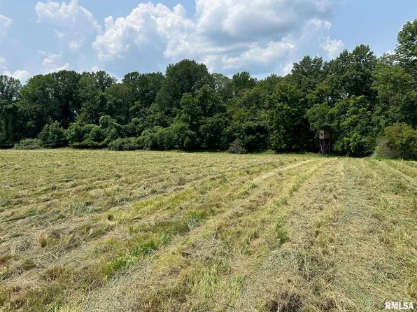 0 Williams Ridge Ln, Cobden, IL 62920