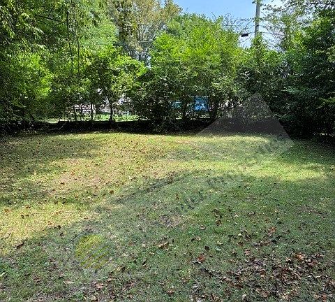 Full scale of the backyard