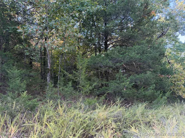 Canyon Dr, Canadian, OK 74425