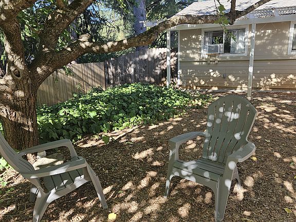 Front yard in the shade of Mulberry Tree