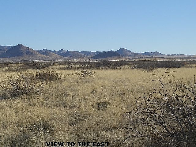 View of Lot - East