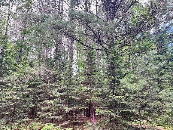 4th image of LOT 5 Eagle Waters Rd