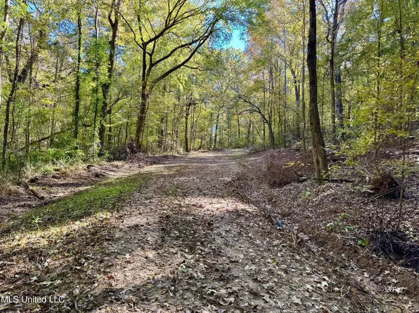 Tbd Cr 493, Oxford, MS 38655