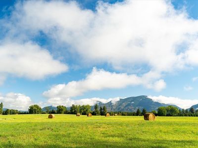 Nhn Fox Ln, Columbia Falls, MT, 59912