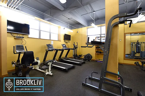 Rented by null | media 36