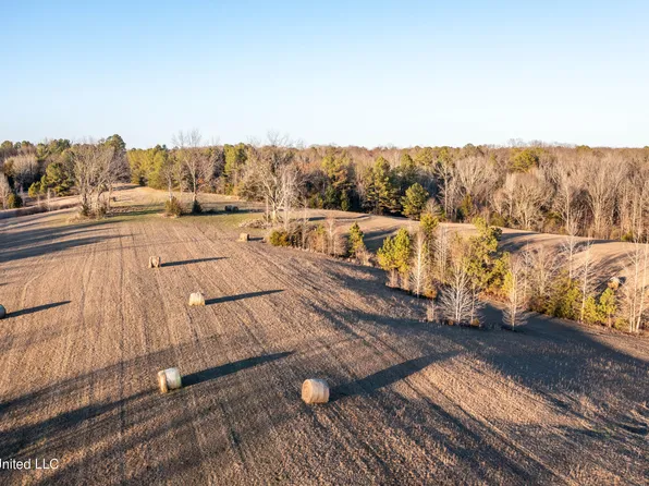 955 W Kendall Dr, Cascilla, MS 38920