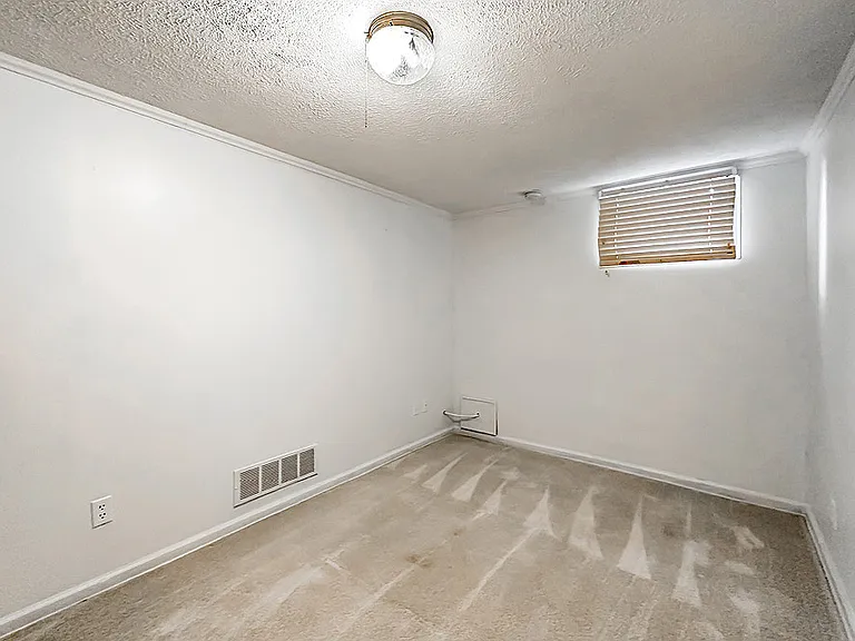 Flex Room on Lower Level