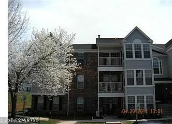 Exterior (General)