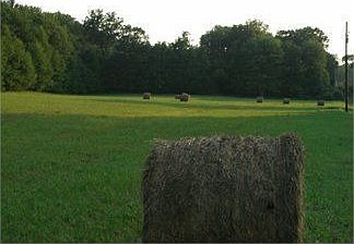 4th image of 608 Scotch Valley Dr