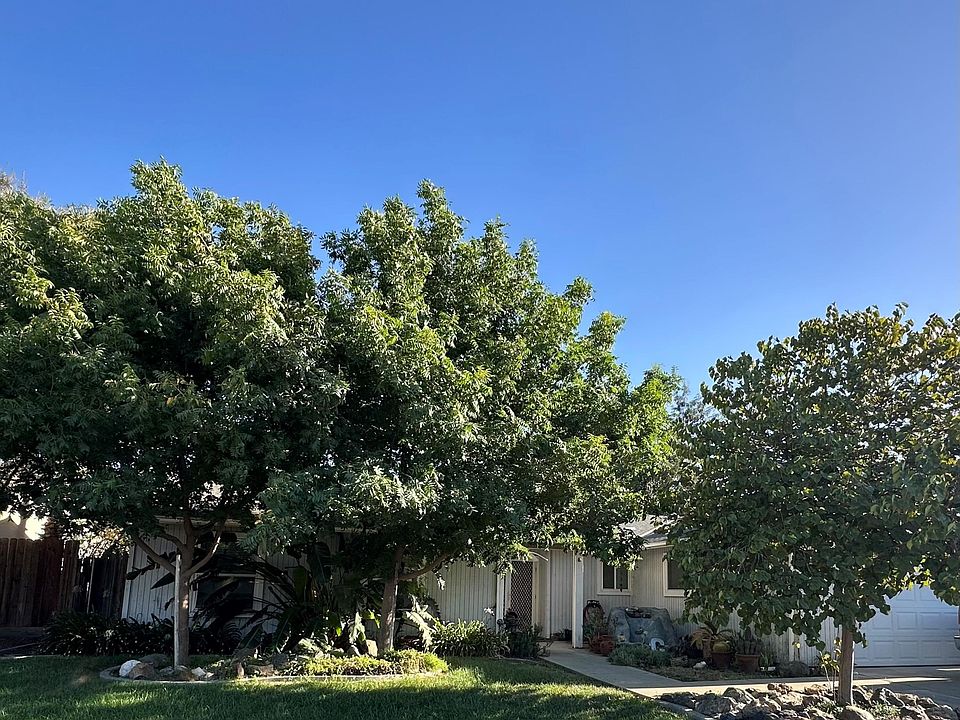 1st image of 527 W Magnolia Avenue
