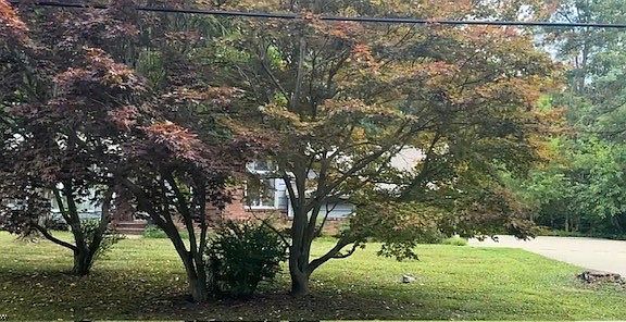 3rd image of 12963 Lynn Dr