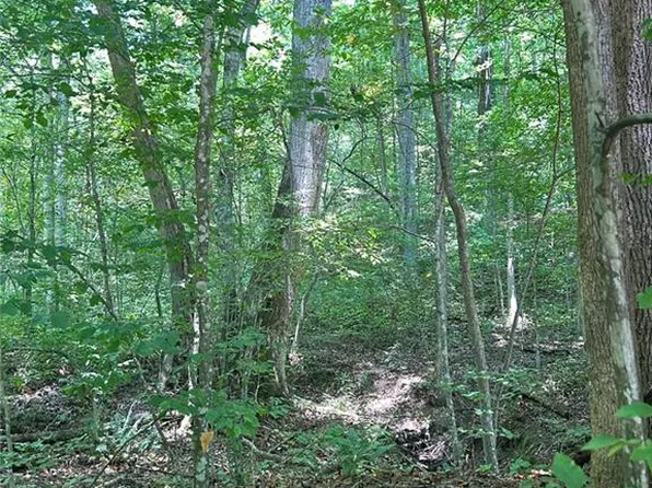 Na Rambling Rd #32, Fairmount, GA 30139