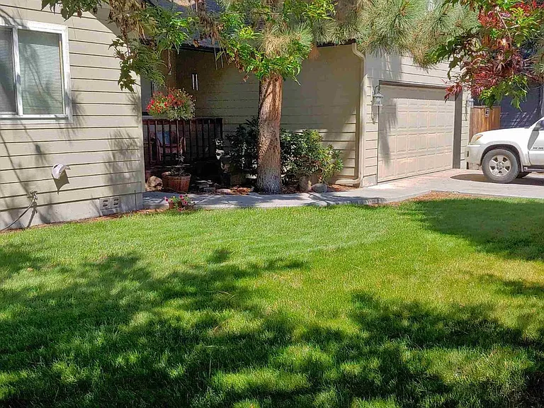 Front yard