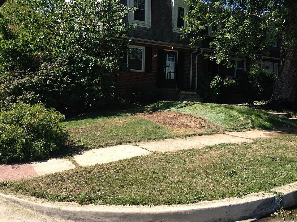 Front yard