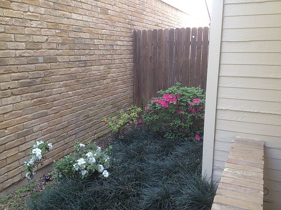 Side Yard