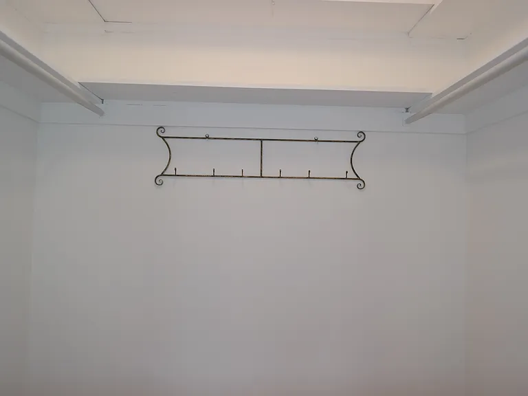 Bedroom walk in closet with rods on either side and shelving on three walls above rods.