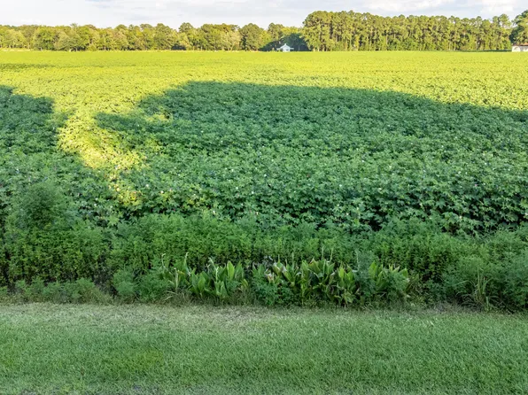 Whitehat Rd Lot 1, Hertford, NC 27944