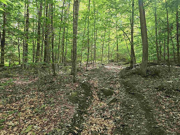 4th image of TBD Farrar Road