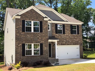 306 Dolly Horn Ln, Chapin, SC, 29036
