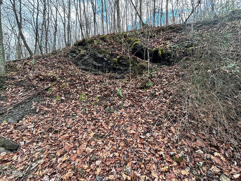 2nd image of 0 Fox Hollow Ln
