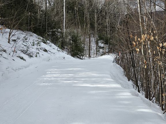 3rd image of 16 Yellow Birch Cir