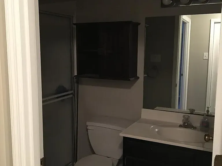10602 Alysun Nikole Dr — Photo 11