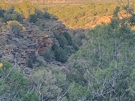 4th image of TBD Tres Coyotes Trail