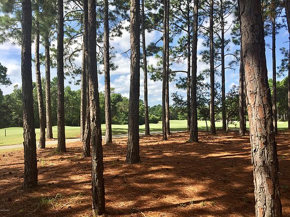 3rd image of 3731 Players Club Drive SE LOT 10