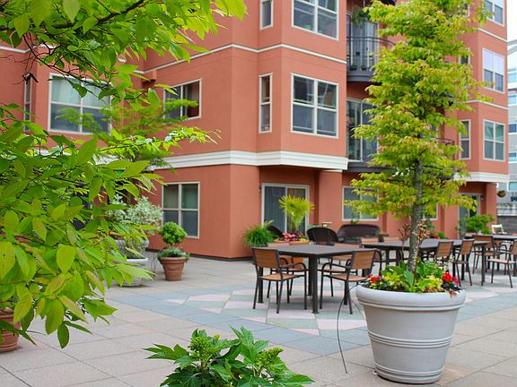 Primary Courtyard