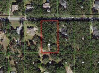 304 W Olympia St, Hernando, FL 34442