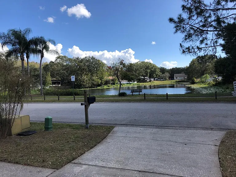 Pond view from door