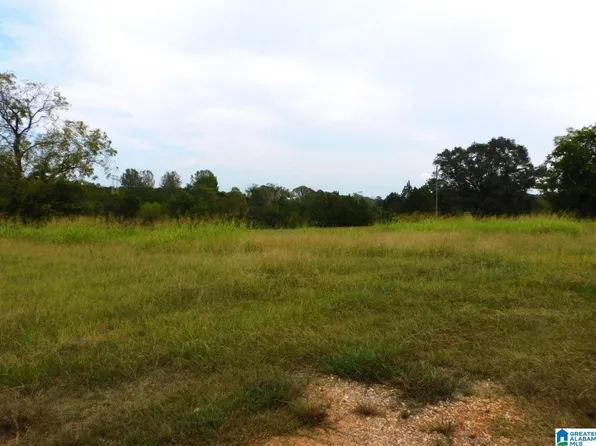 315 Milam Dr #0, Vincent, AL 35178