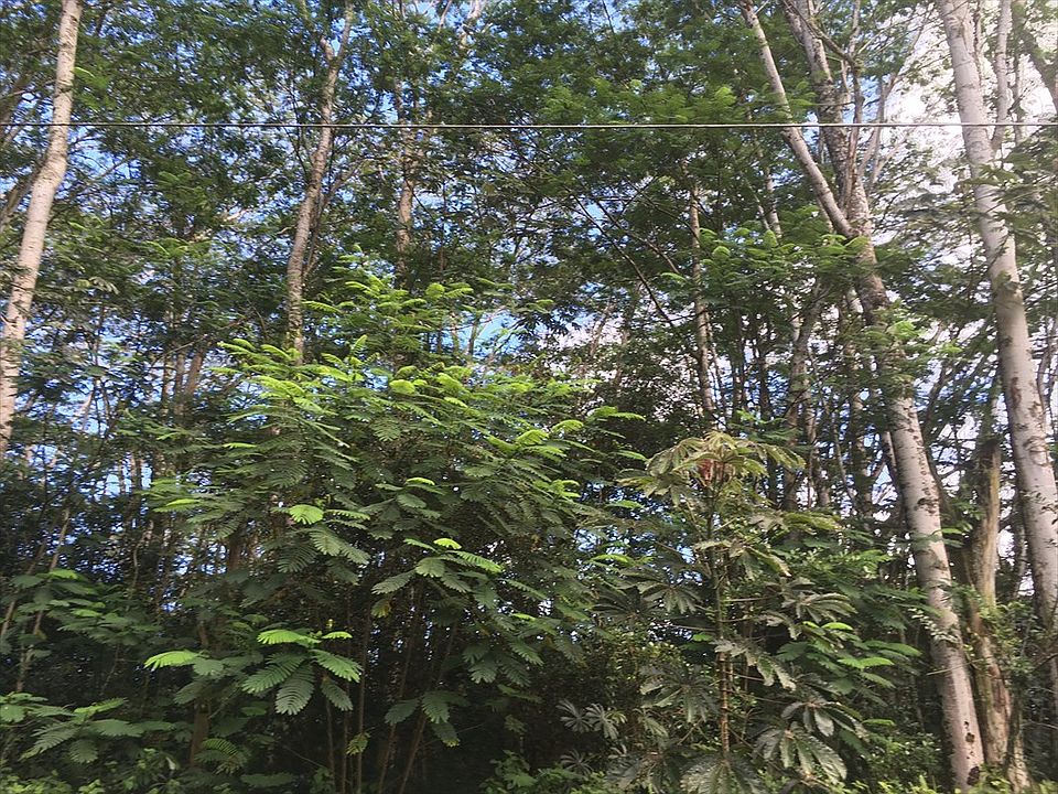 2nd image of Kaku St Lot 3