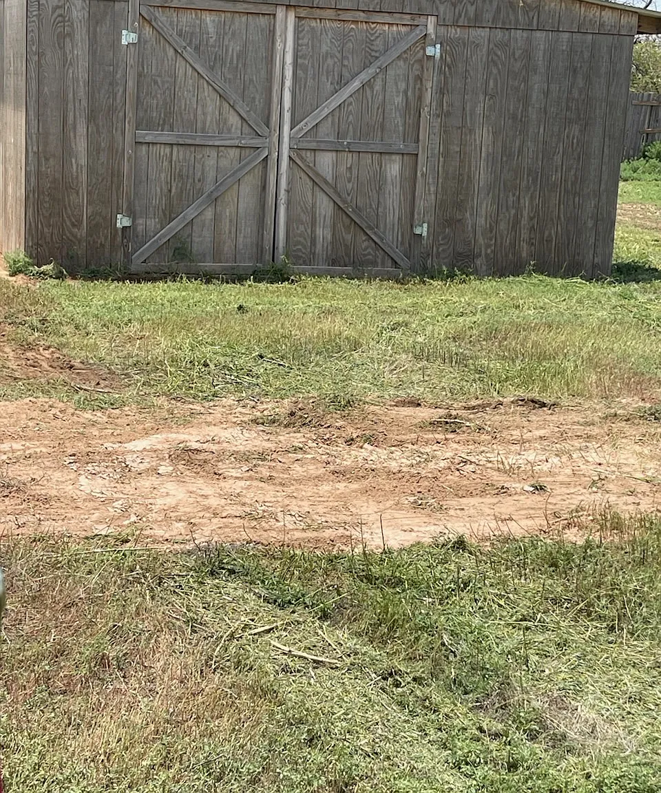 1 bed, 270 sqft, $200 — Photo 4