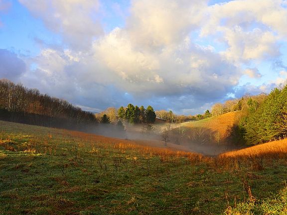 2nd image of 892 Ward Branch Rd