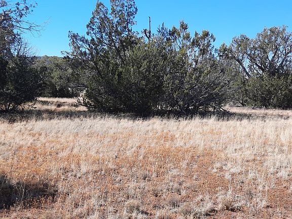 2nd image of 54214 N Castano Rd