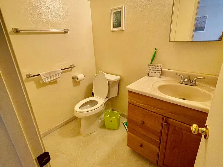 bathroom downstairs with huge storage space (hidden in the pic)